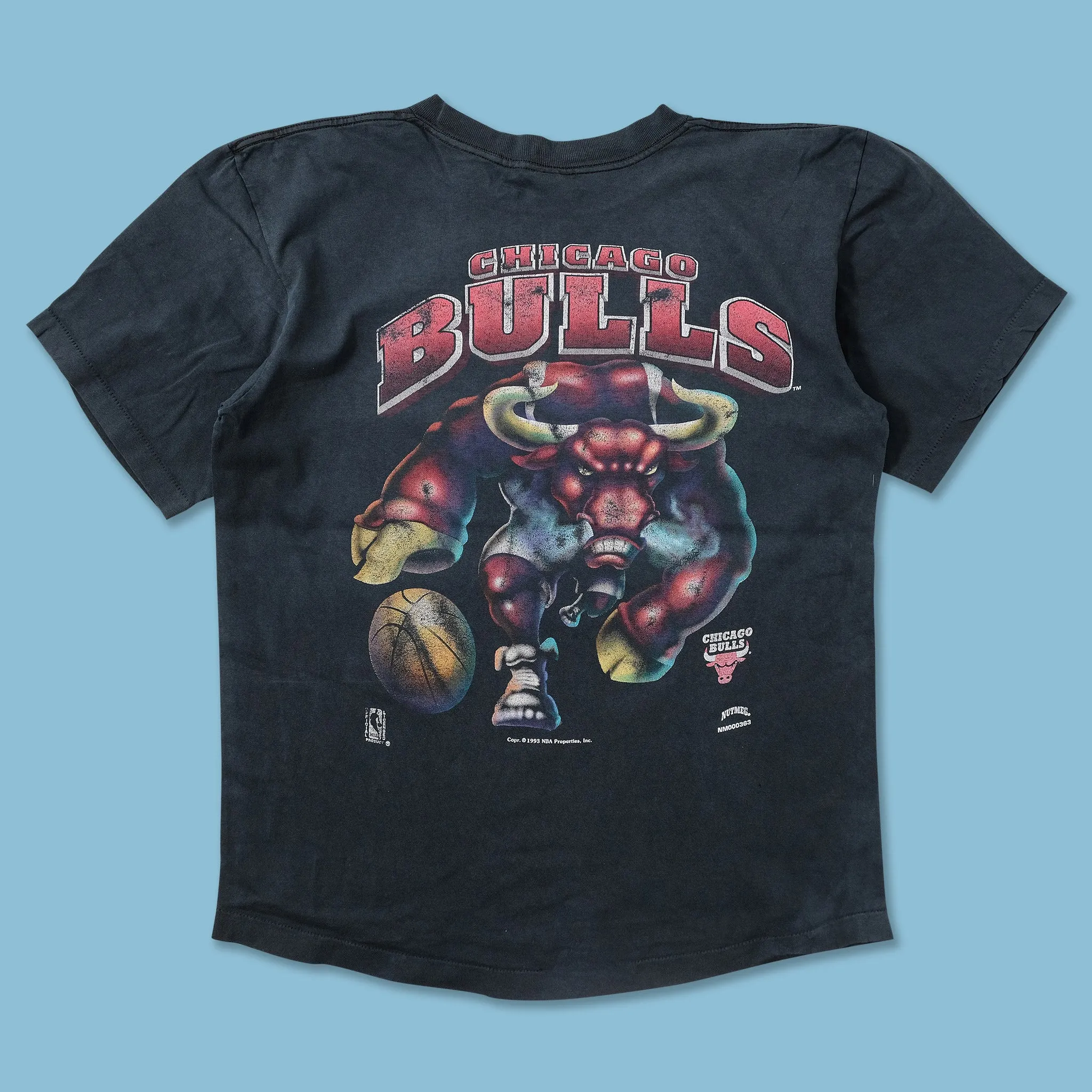 1993 Nutmeg Chicago Bulls T-Shirt Large