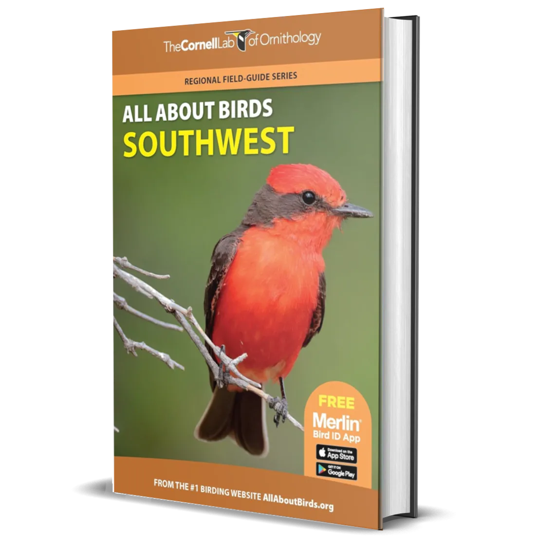 All About Birds Southwest