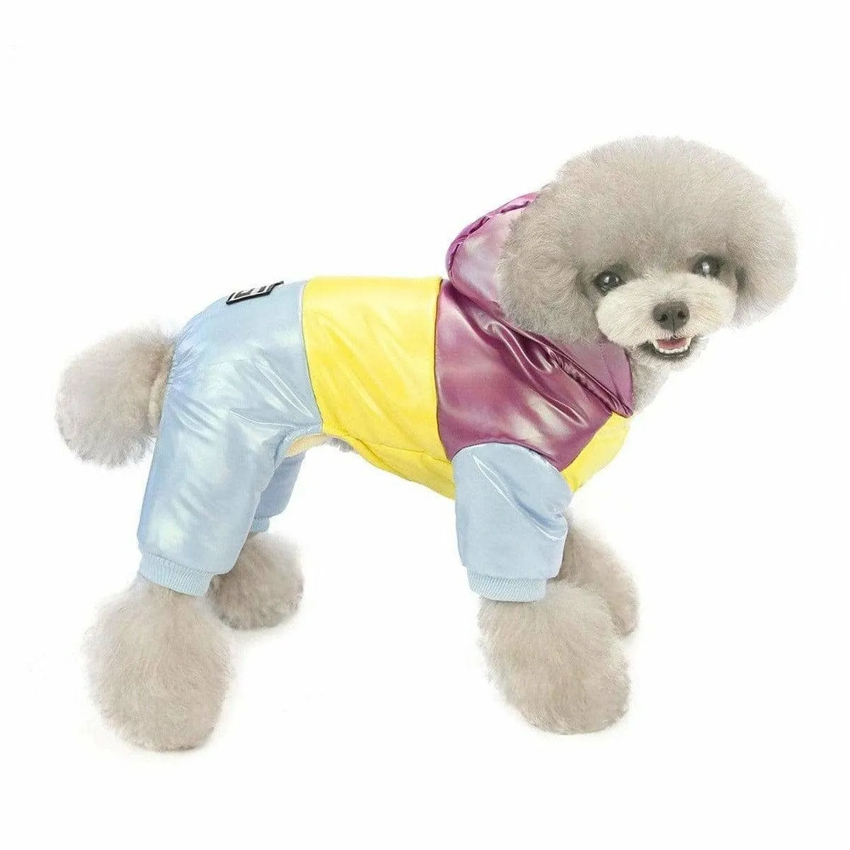 dog clothes Purple L AWYP-6