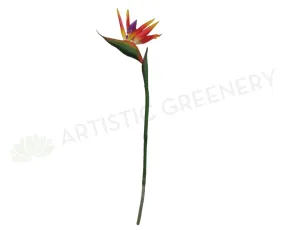 F0009 Bird of Paradise / Strelitzia 90cm