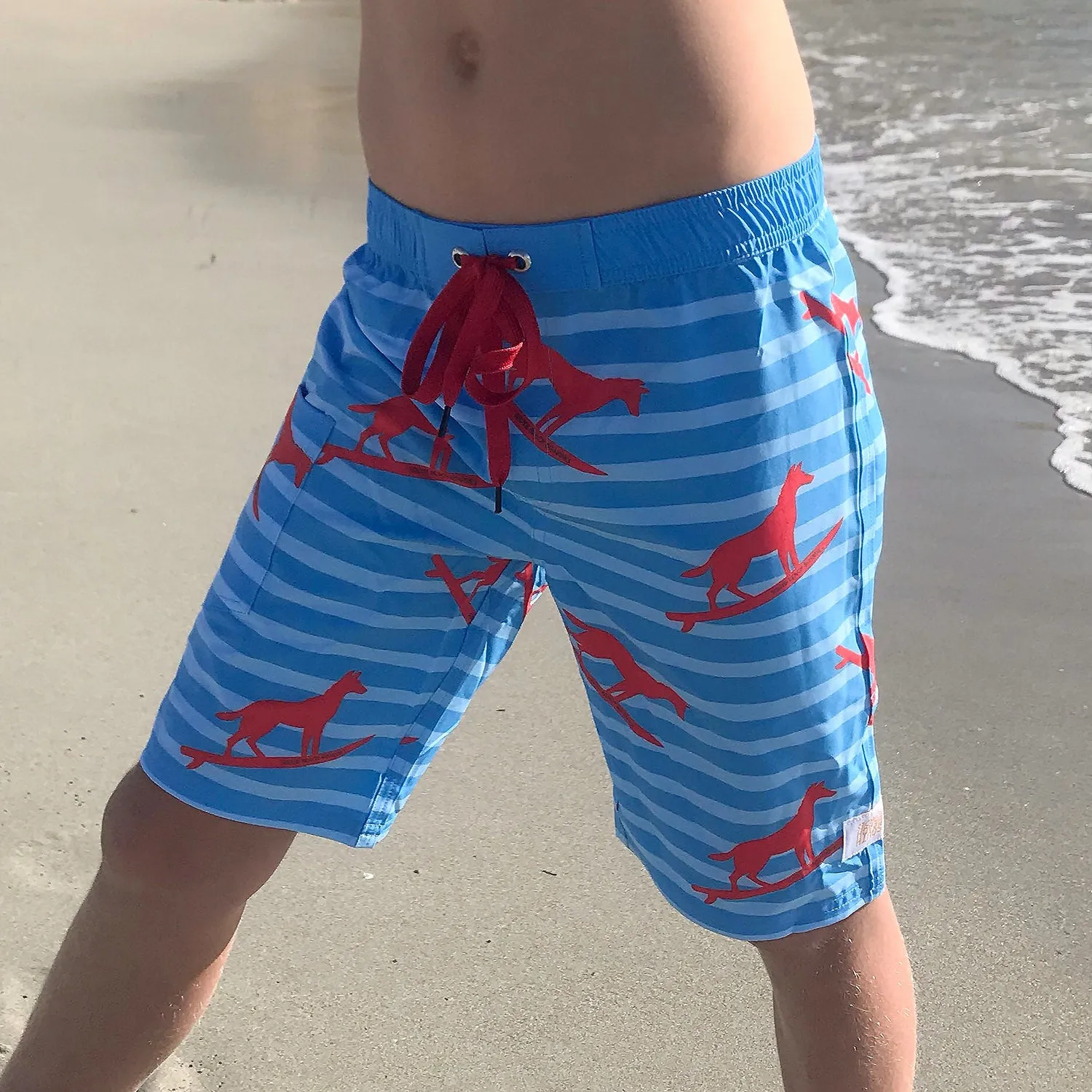 Kids Long Boardies: Dingo Took My Board(ies)