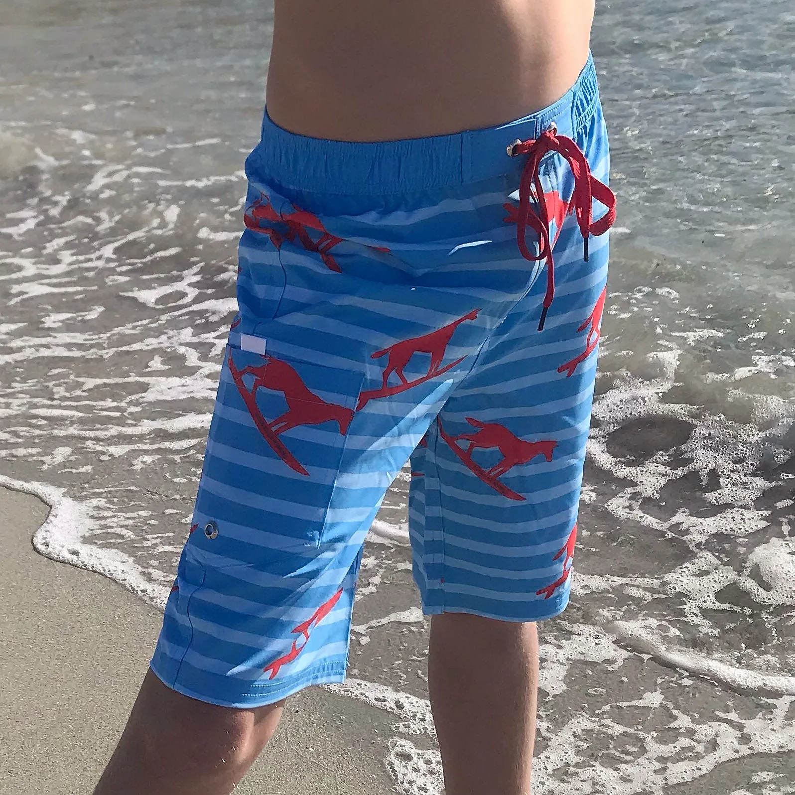 Kids Long Boardies: Dingo Took My Board(ies)