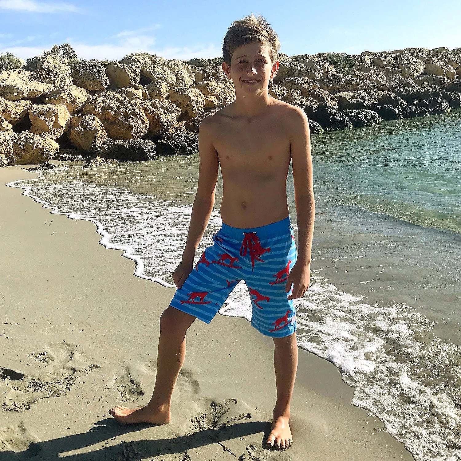 Kids Long Boardies: Dingo Took My Board(ies)